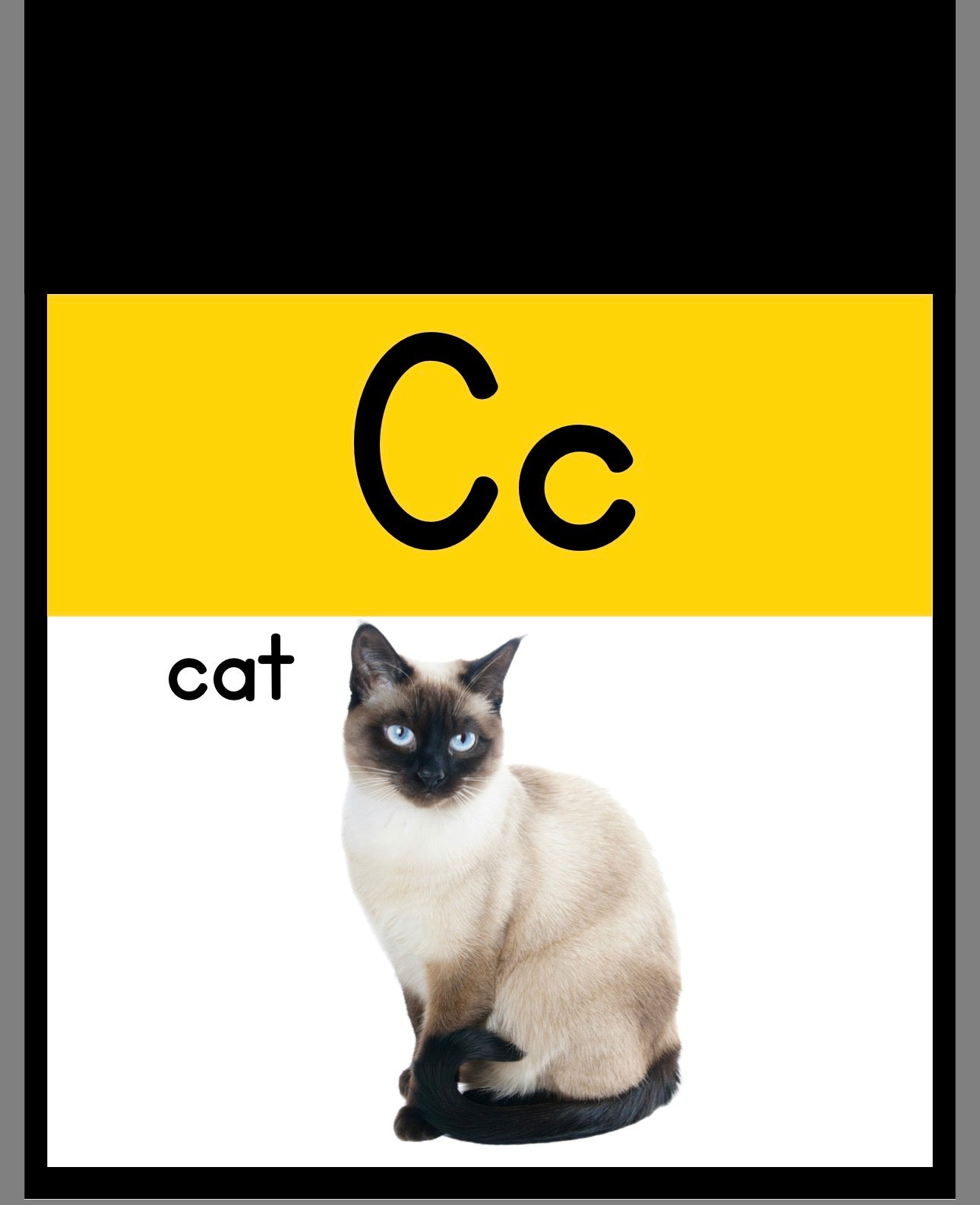 Alphabet Letters W/ Pictures