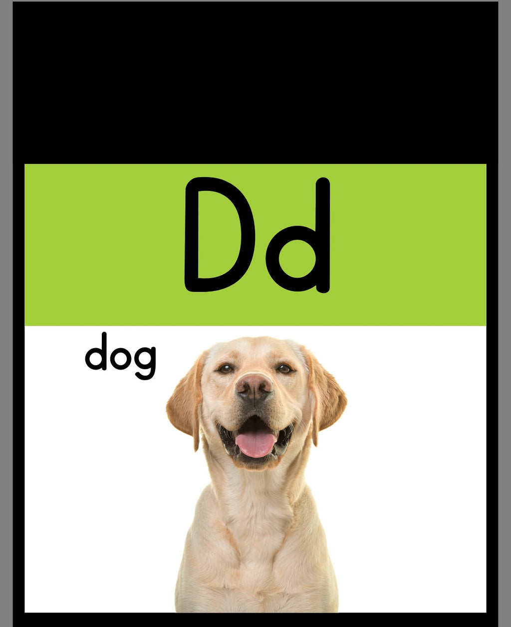 Alphabet Letters W/ Pictures