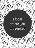 Black and White Classroom Decor Bundle