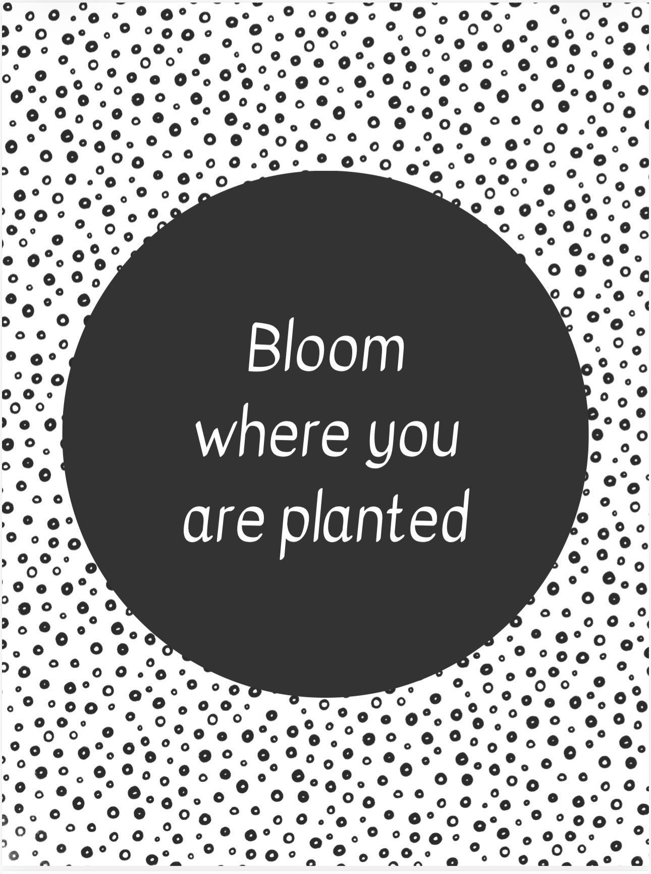 Black and White Classroom Decor Bundle